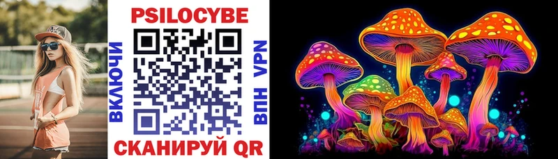 дарнет шоп  Славск  kraken ТОР  Псилоцибиновые грибы мухоморы 